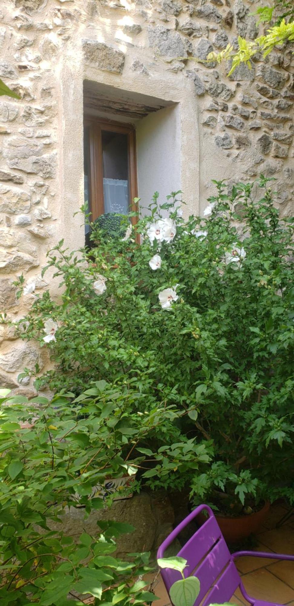 Le Chateau Camps-sur-l'Agly Екстериор снимка